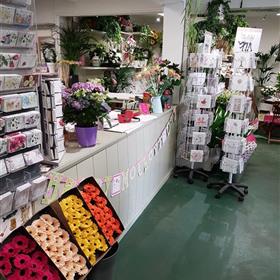 fwthumb20170325_085421 copyb.jpg